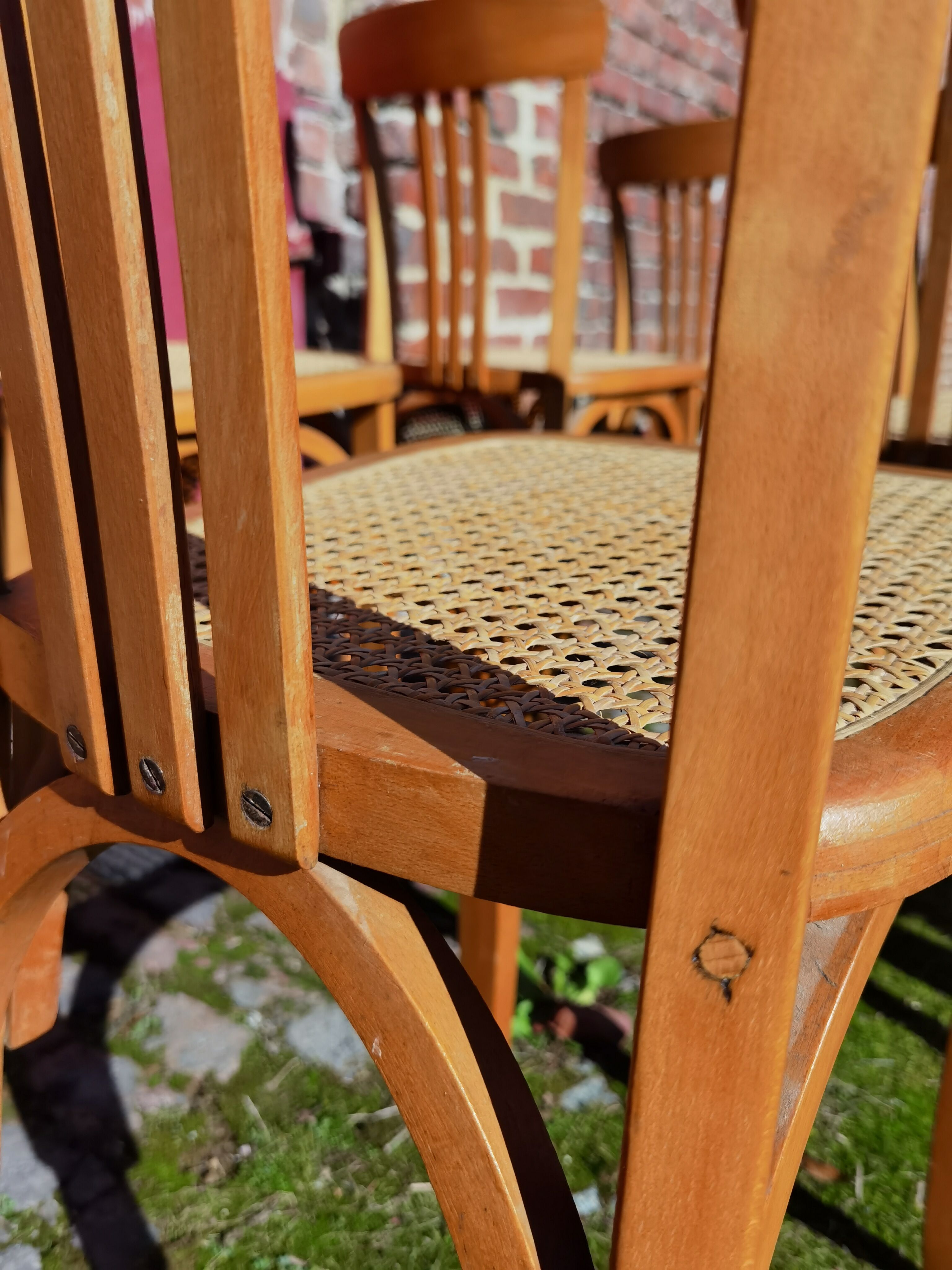 Lot of Stella cane chairs