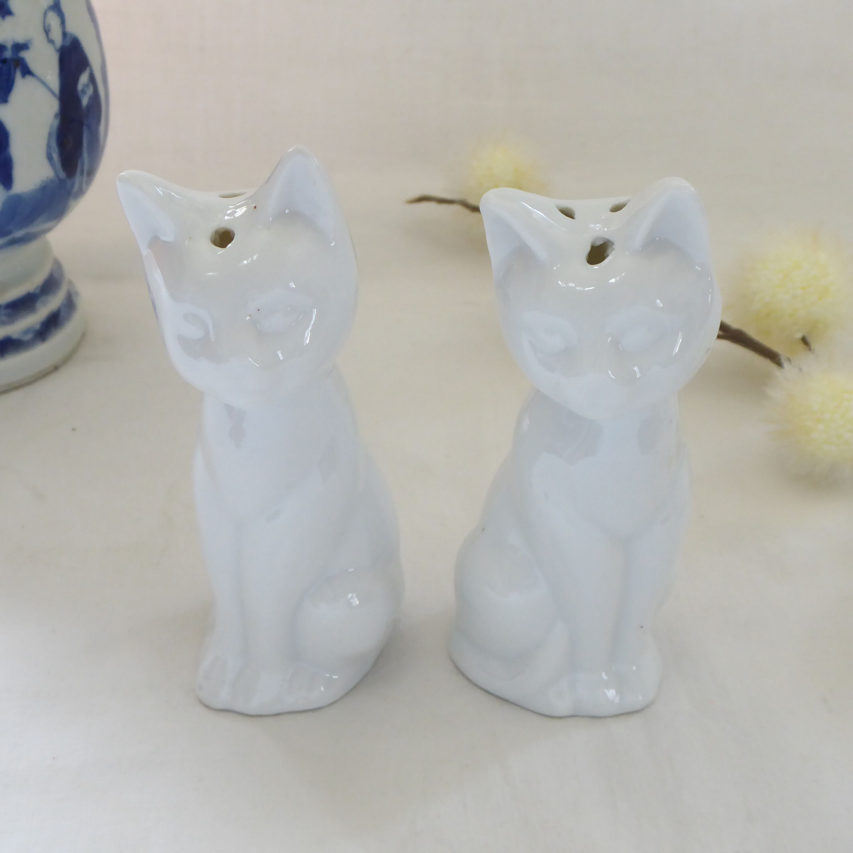 Salt and pepper shaker