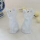 Salt and pepper shaker
