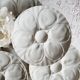 Lot de 9 assiettes en porcelaine à huîtres