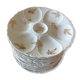 Oyster plates