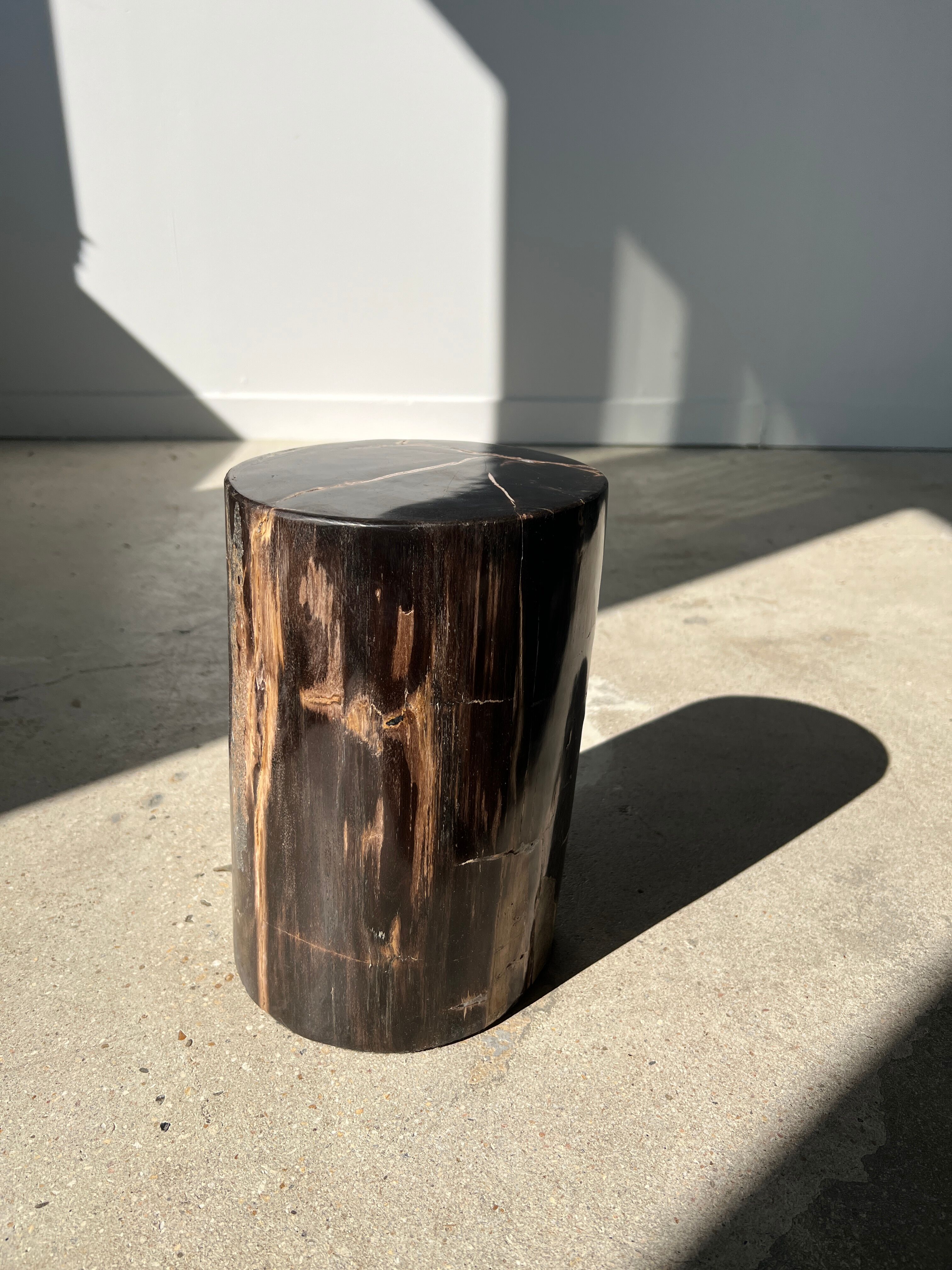 Side table in black petrified wood with light streaks h: 27,5cm d:18,5cm
