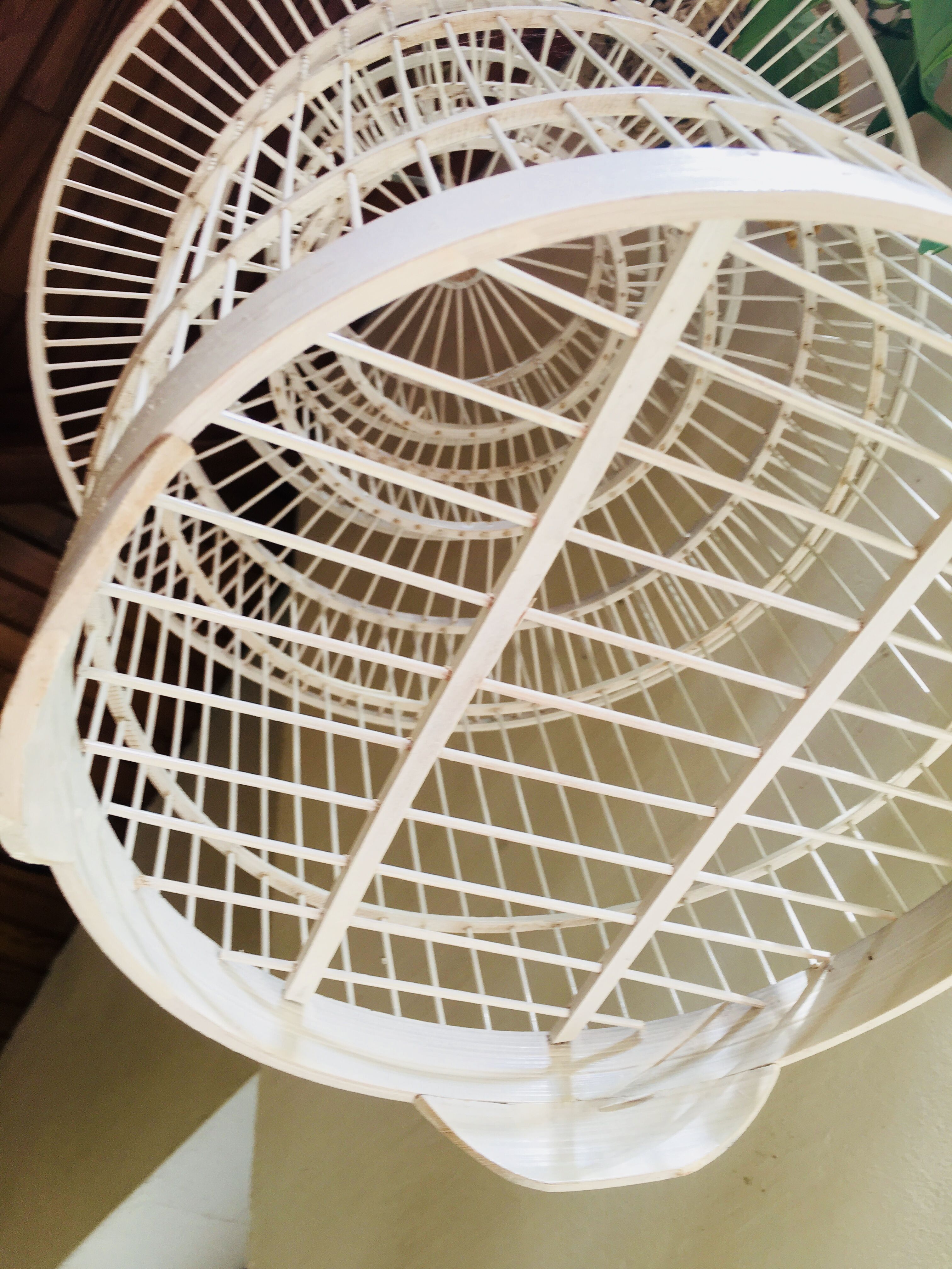 Cage à oiseau