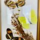 Vintage naturalized butterfly frame 19.5 x 14.5 cm