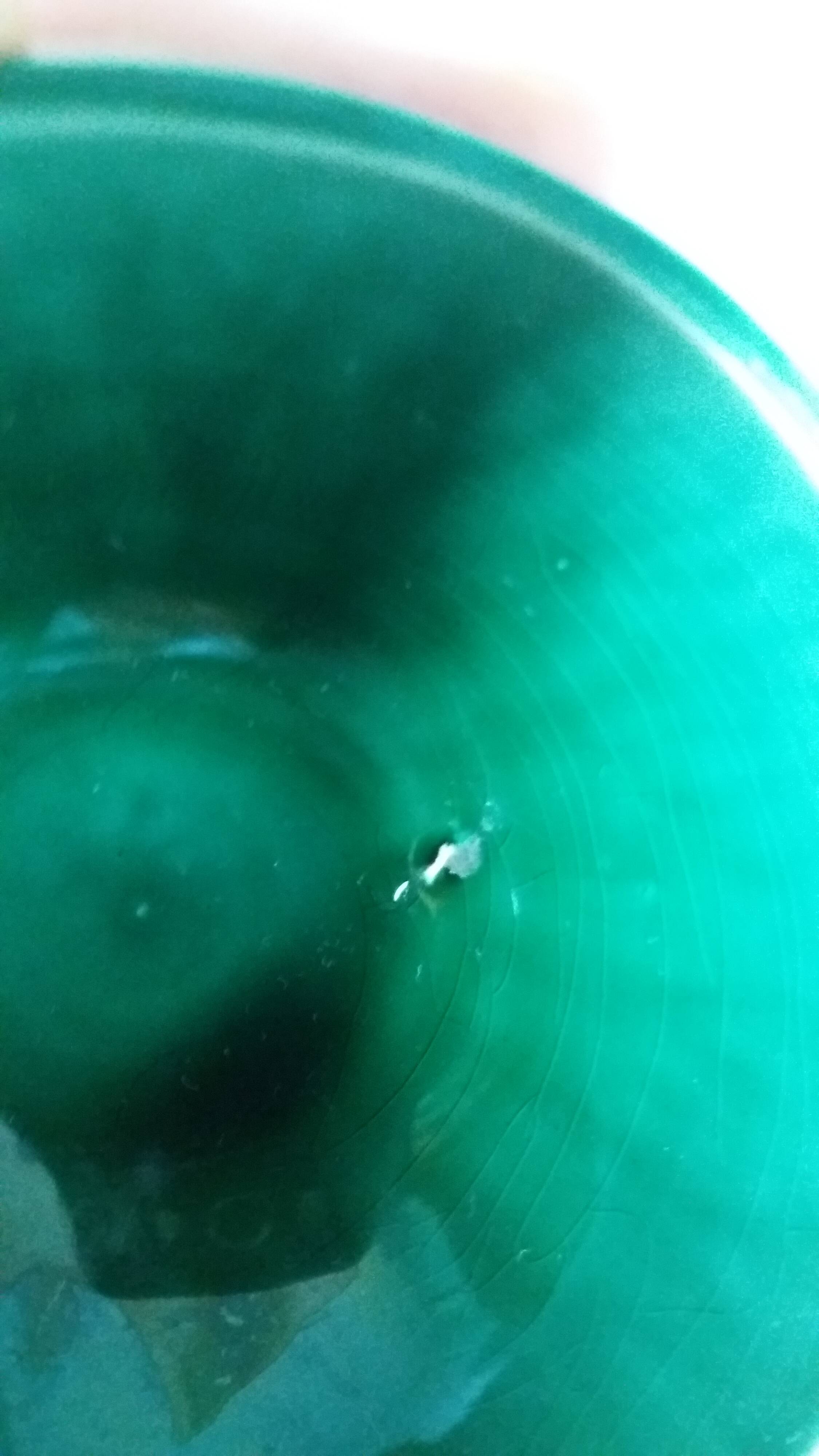 Emerald green glazed ceramic ribbed bowls
