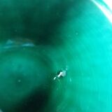 Emerald green glazed ceramic ribbed bowls