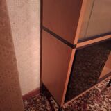 ARP Minvielle book display case