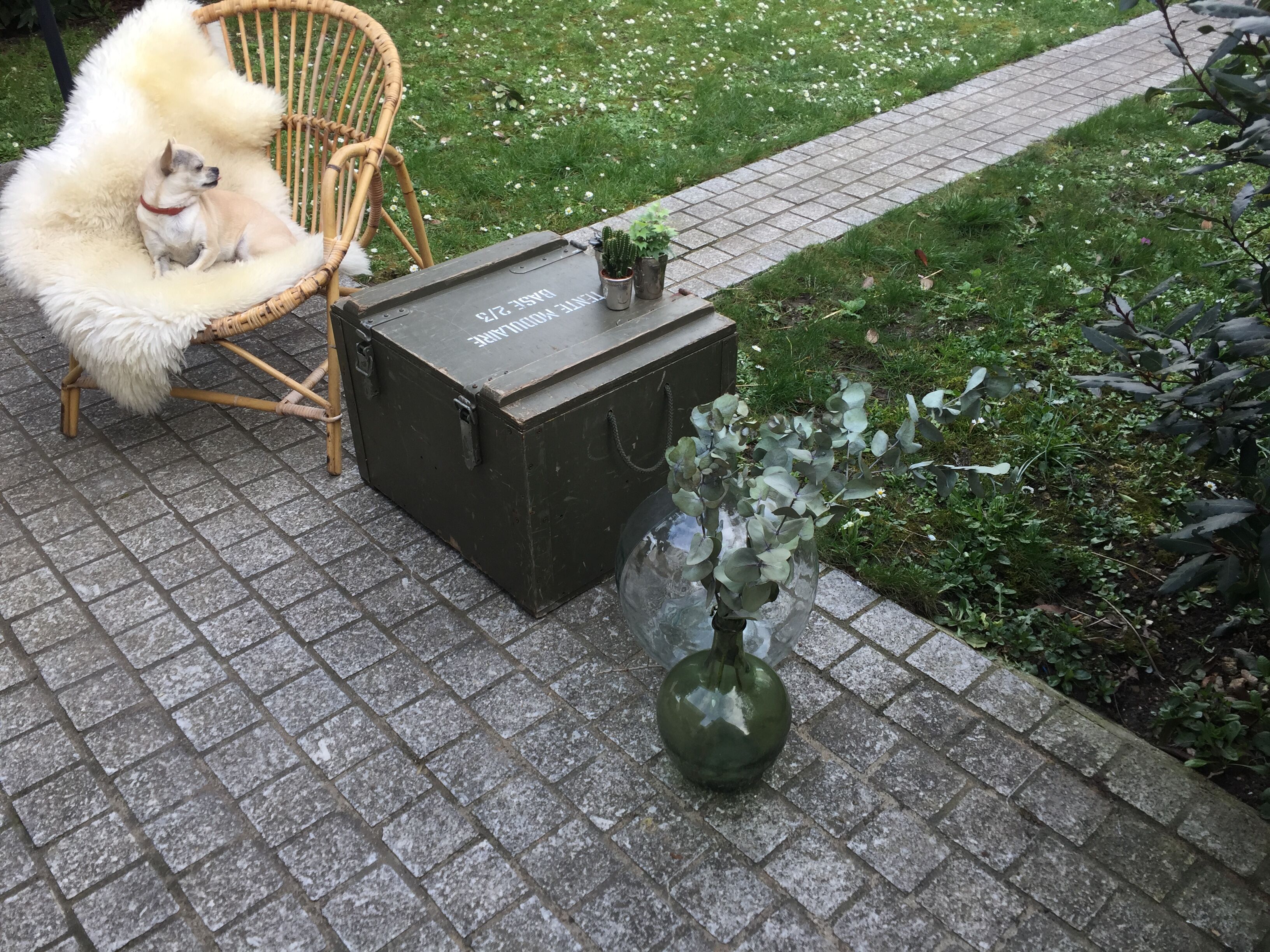 Old trunk or military chest