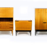 Small Mid-Century Wardrobe by František Mezulaník for UP Bucovice, 1960s