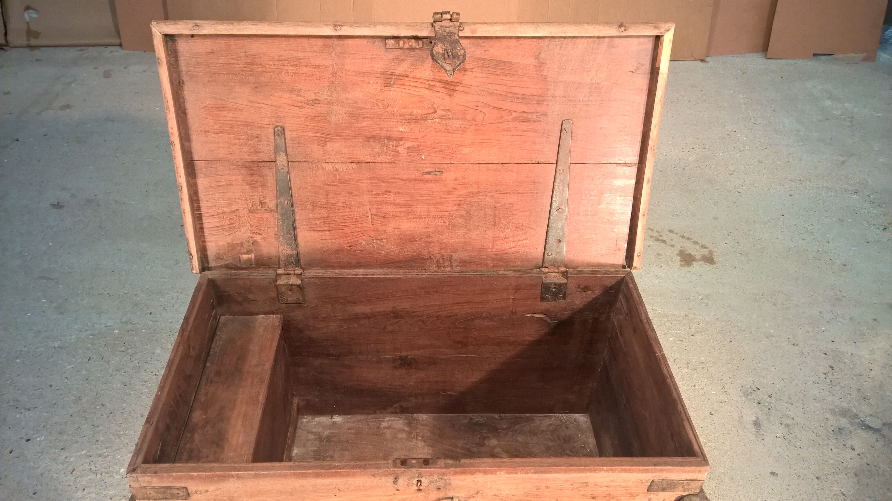 Trunk goannais ink310