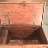 Trunk goannais ink310