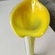 Vase Soliflore Arum flower/Jack in the Pulpit. Murano. High 30.5 cm
