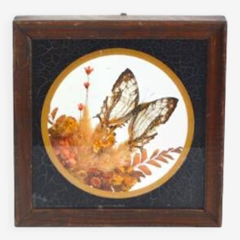 Butterfly showcase frame