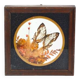 Cadre vitrine papillon