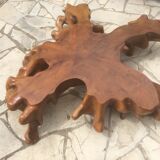 Coffee table "tree strain"