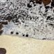 Norman cowhide ht 240 x 230