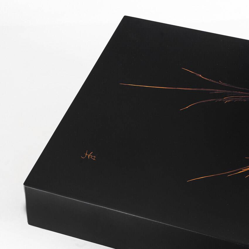 Vintage coffee table. Black lacquered wood with design by H D. France, 1980s