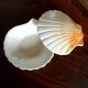 Ceramic shell 1960