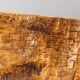 Werner Neumann sculptural birchwood sofa in birch bark and leather, The Netherlands