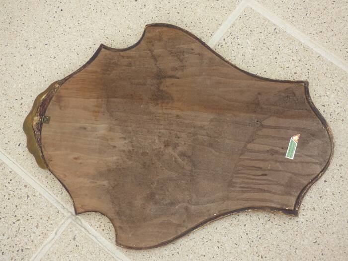 Louis XV style mirror guaranteed with water-gilded wood and gold leaf