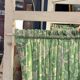 Vintage 1950s screen