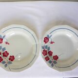 2 deep plates Céranord St Amand model Le Printemps (220634)