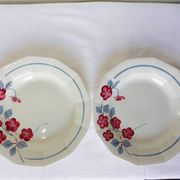 2 deep plates Céranord St Amand model Le Printemps (220634)