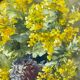 Old painting, still life with mimosas, signed, 60s/80s