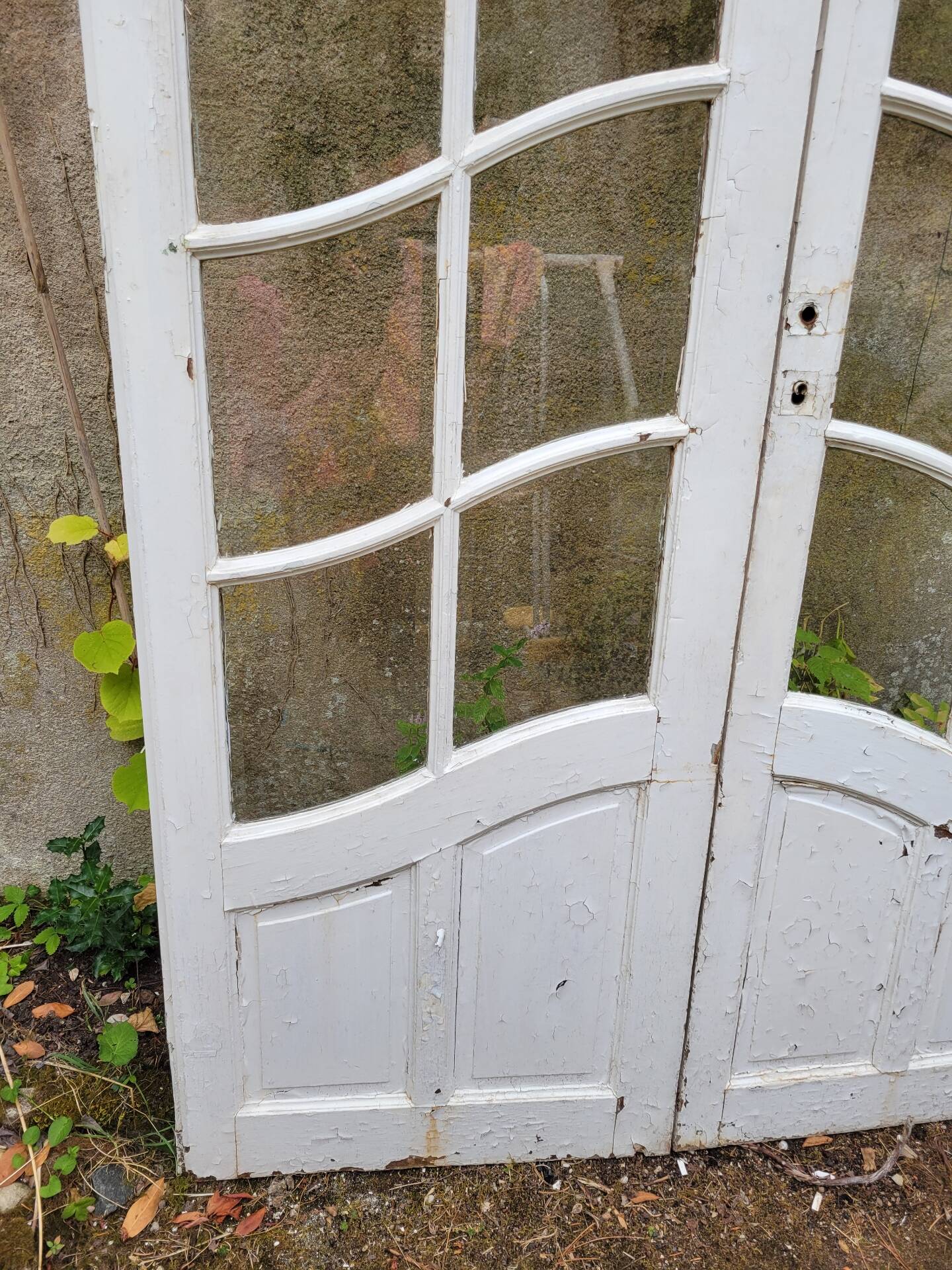 Art Nouveau double doors with small panes.