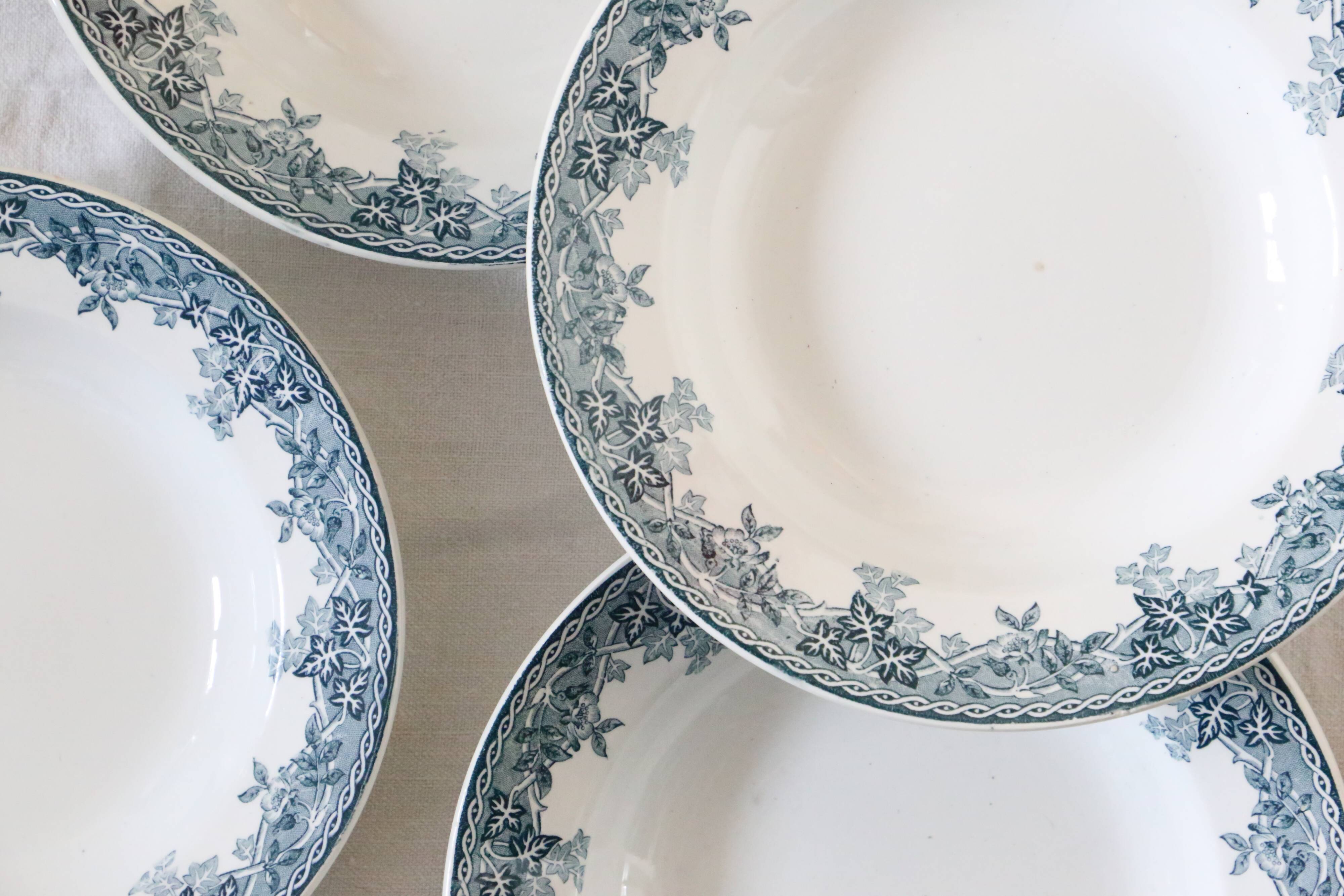 Deep plates x5, iron earth, Estival model from Saint Amand