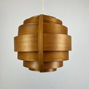 Scandinavian Suspension by Hans Agne Jakobson, pin 1960