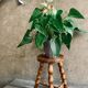 Tabouret tripode bois à entretoise vintage
