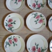 12 assiettes plates anciennes + soupière HBCM
