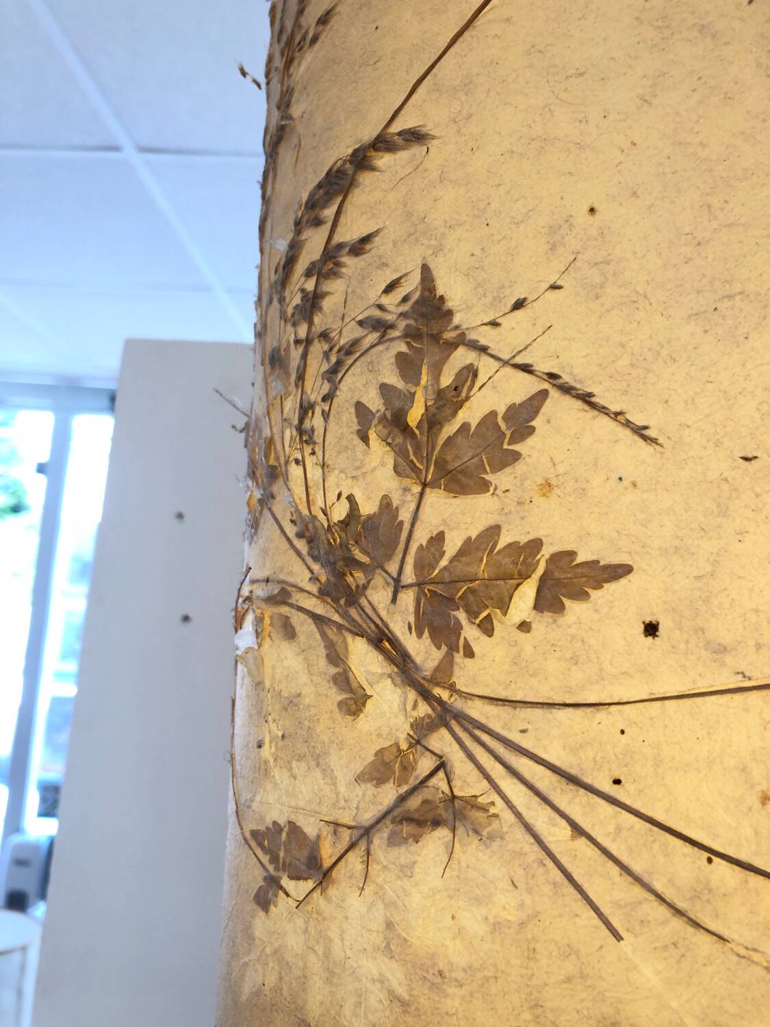 Accolay floor lamp, 1970