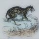 Original zoological plate " Caracal - Serval - Ocelot - &c... " Buffon (1836)