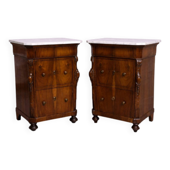 Rare pair of Italian display furniture from the Charles X period in mahogany.