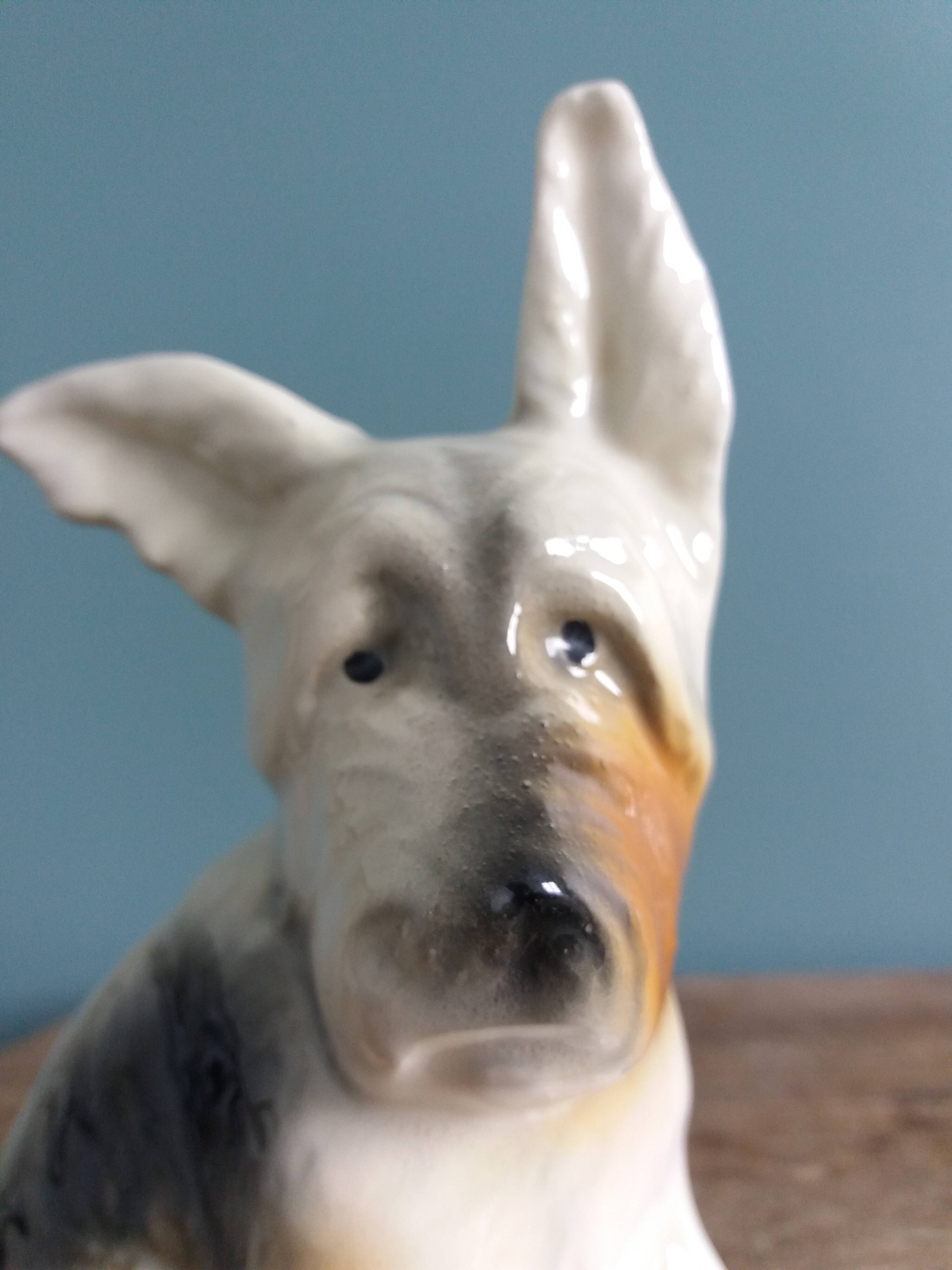 Dog signed Desvres Gabriel Fourmaintraux early 20th century