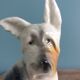 Dog signed Desvres Gabriel Fourmaintraux early 20th century