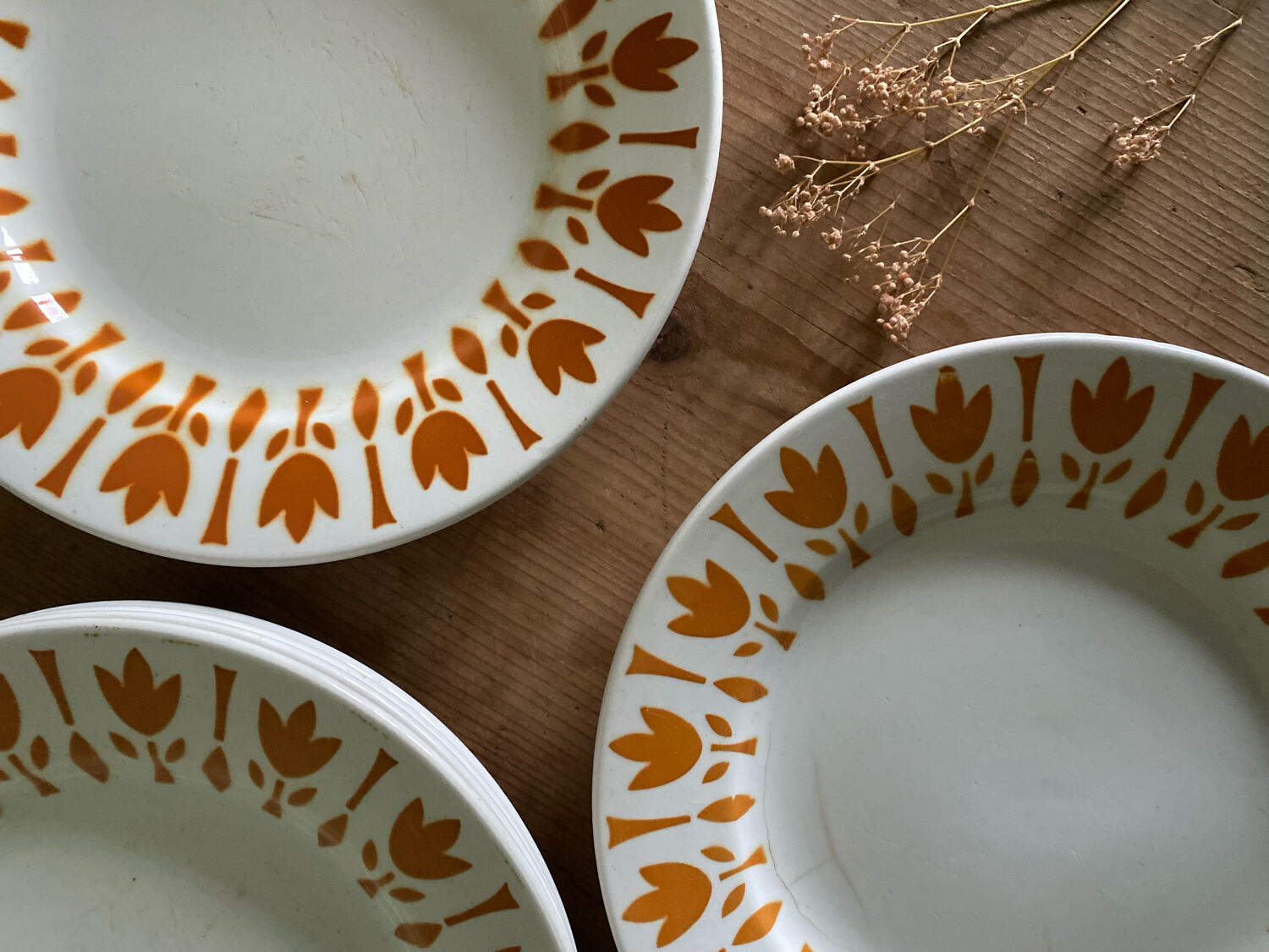 6 assiettes vintage tulipes sarreguemines