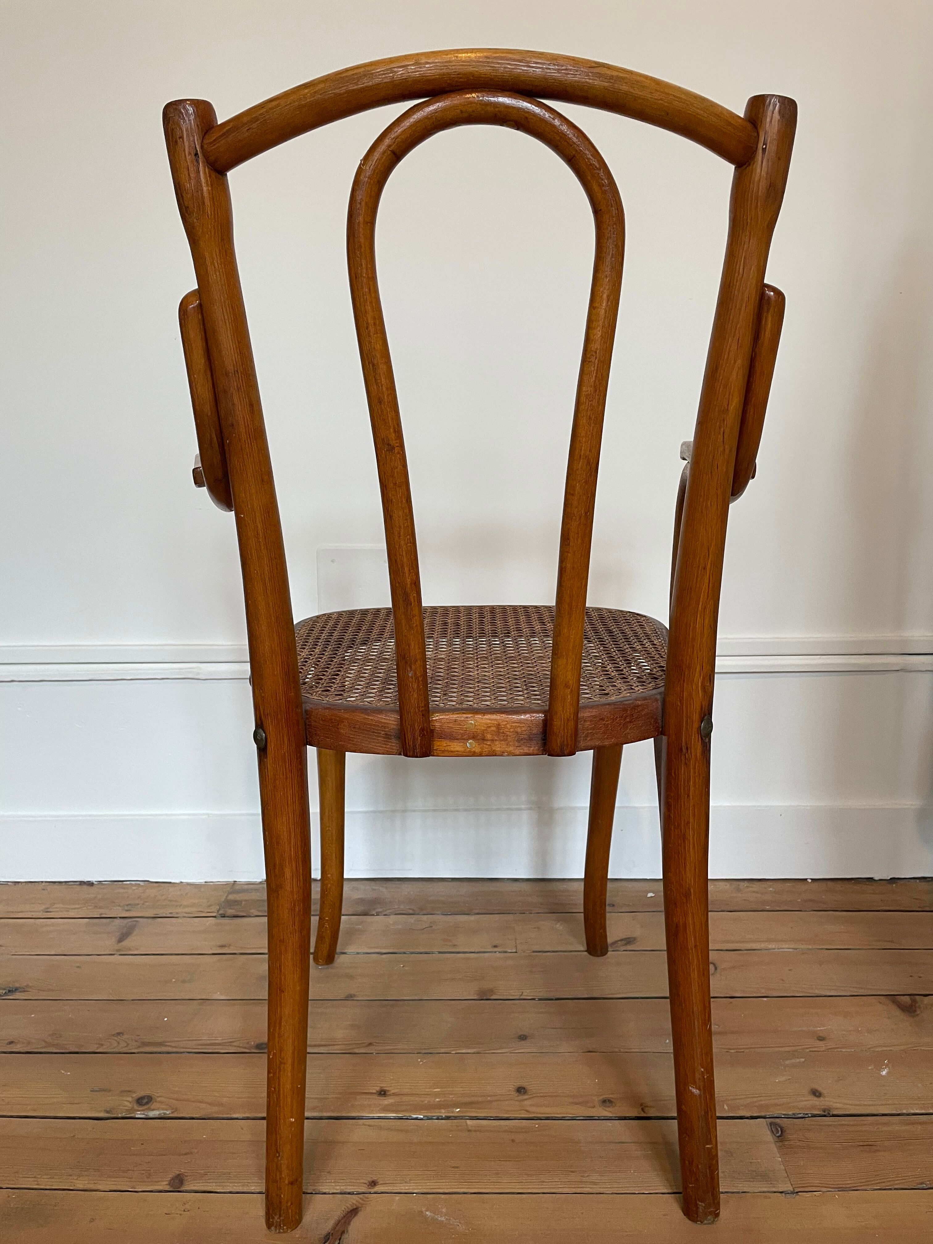 Old thonet armchair in curved wood and rattan cane