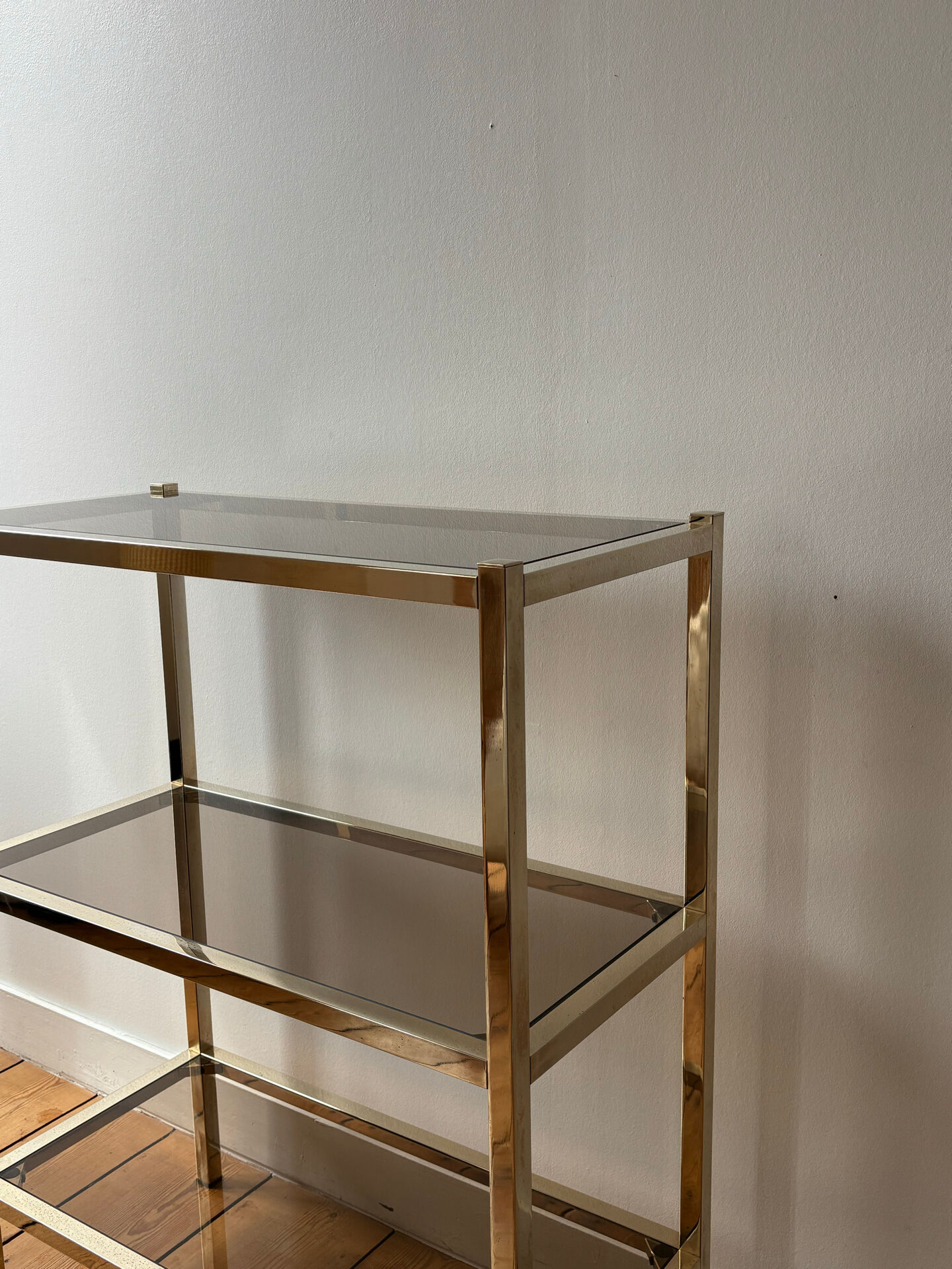 Brass and smoked glass library shelves
