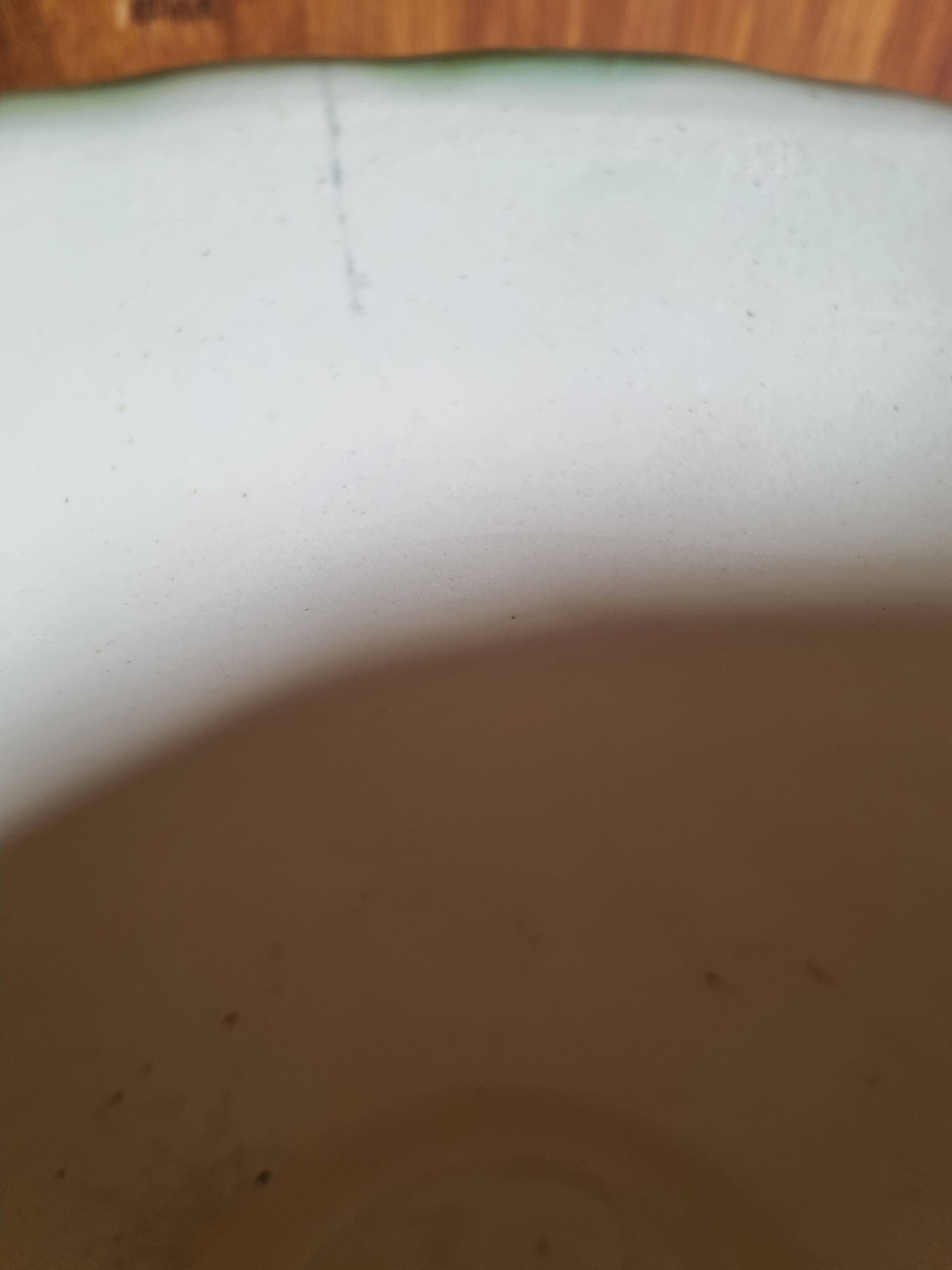 Antique planter Barbotine Longchamp Terre de Fer