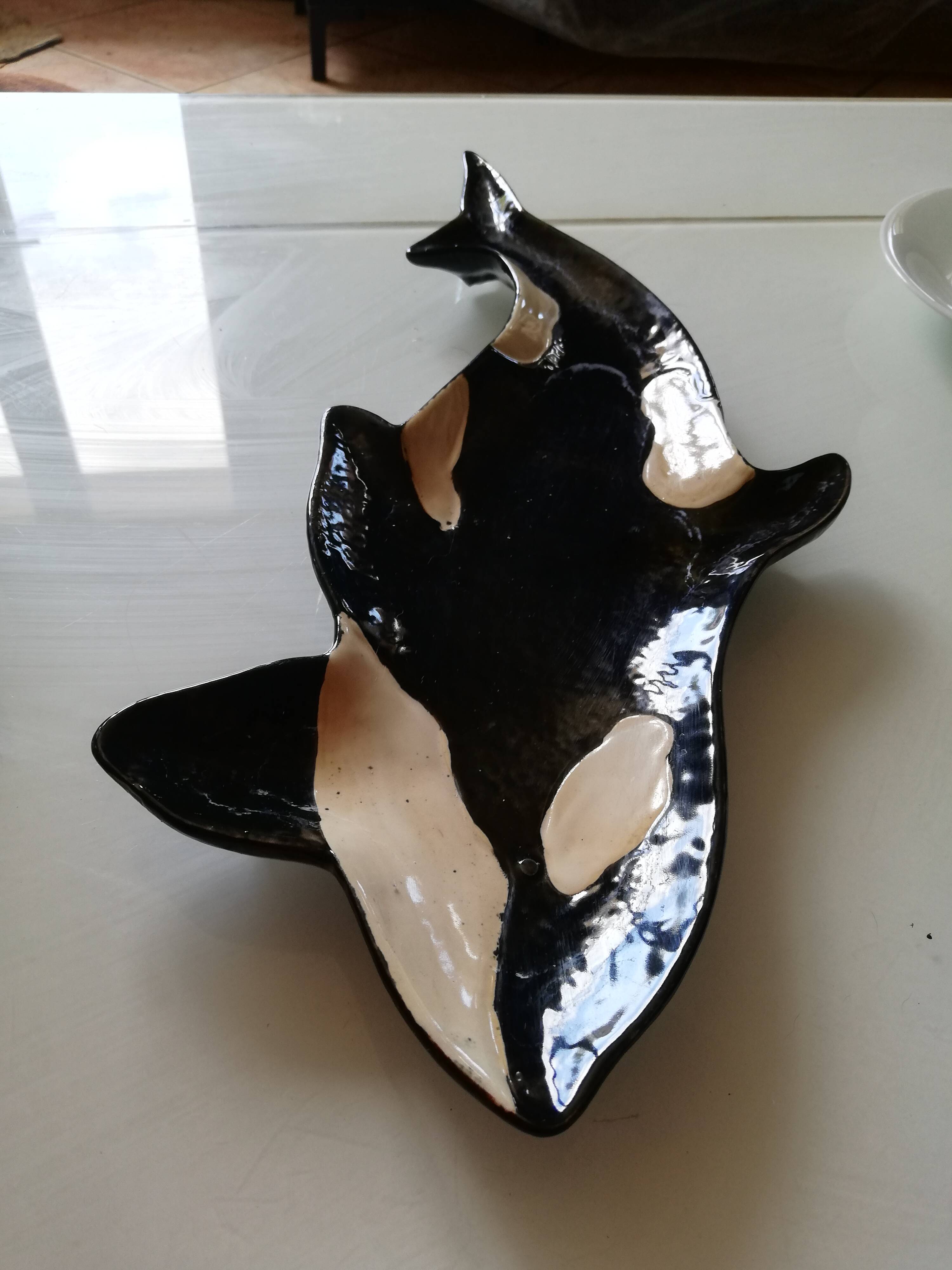 Empty orca pocket