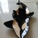 Empty orca pocket