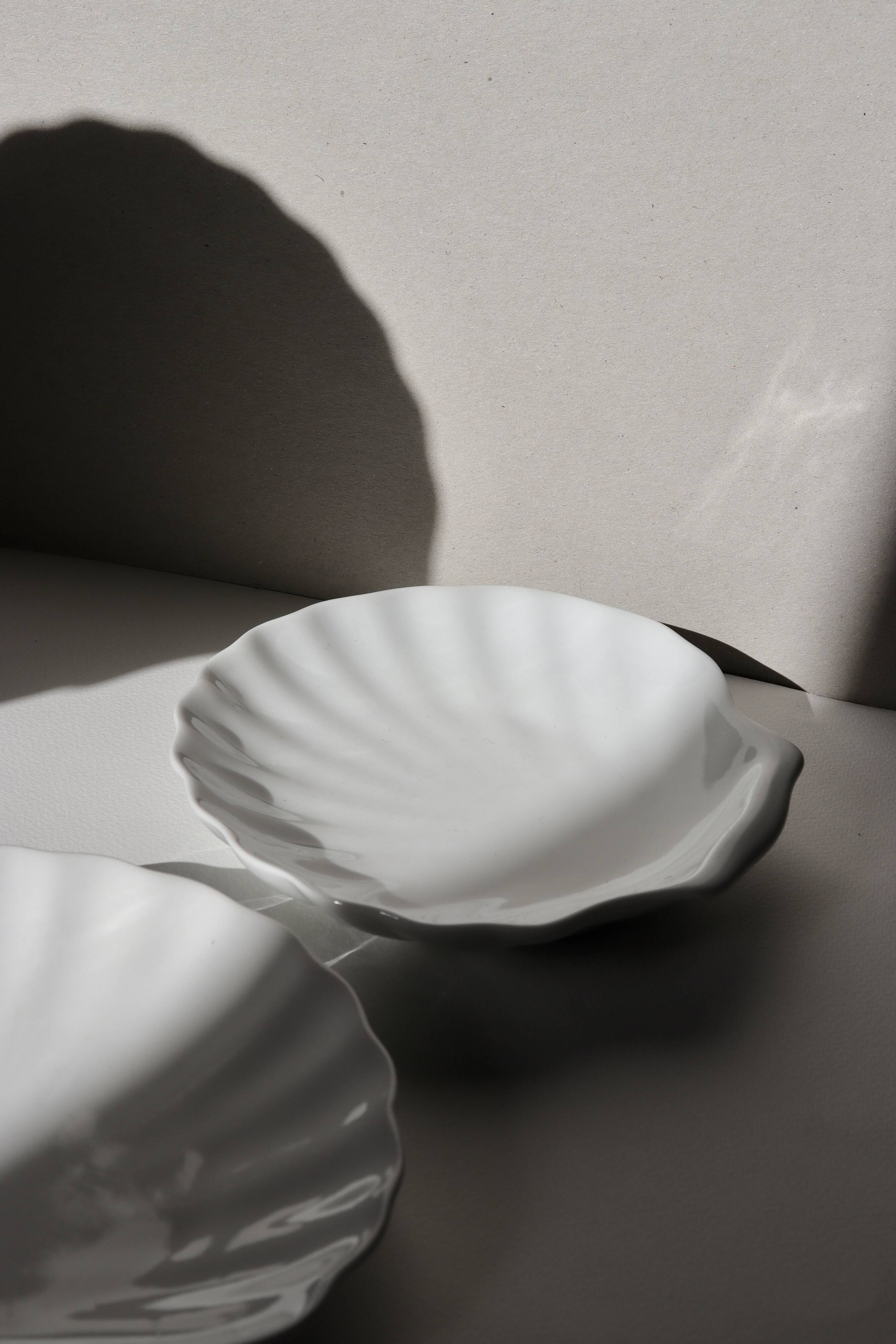 White shell cup