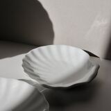 White shell cup