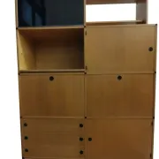 Modular shelves model M45 by Wim Rietveld for Gispen