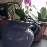 Blue pitcher