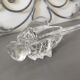 Vacuum pocket crystal old bee or fly valves