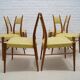 Mid-century Austrian dining chairs, 1950s, set of 6